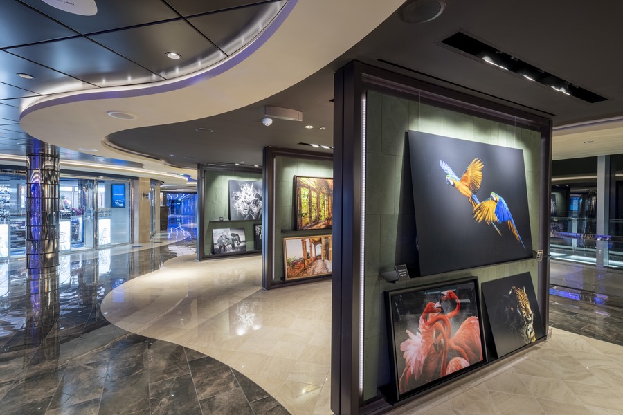 MSC Cruises MSC Seashore Art Gallery 1.jpg